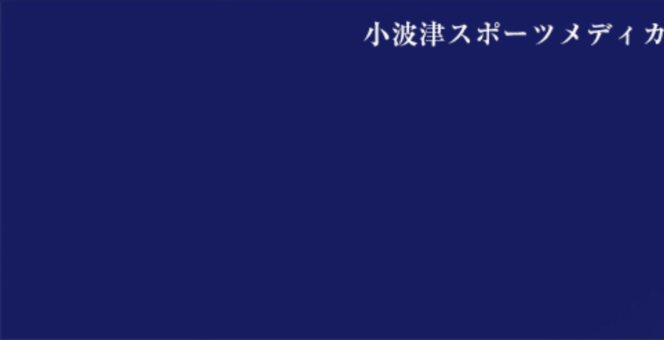 cropped-naosu-banner_header_v01-1-1.jpg