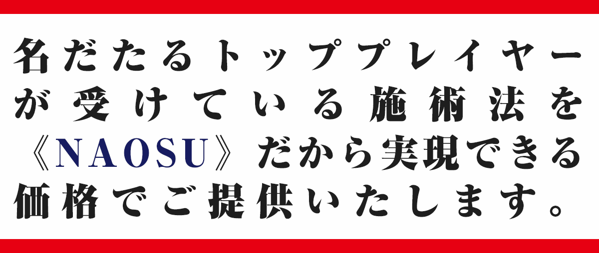 naosu-whatsNAOSU_p02-2_v04