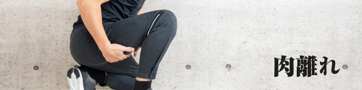 記事_ASI __banner01