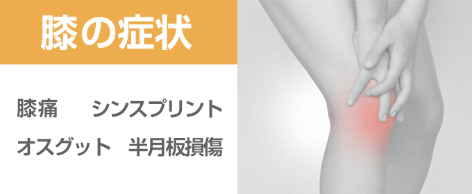 膝症状banner_B
